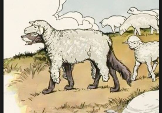 Wolf in sheep's clothing among sheep.